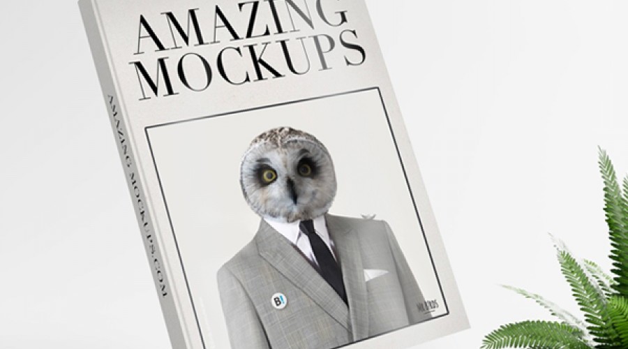 Mockups gratuits 